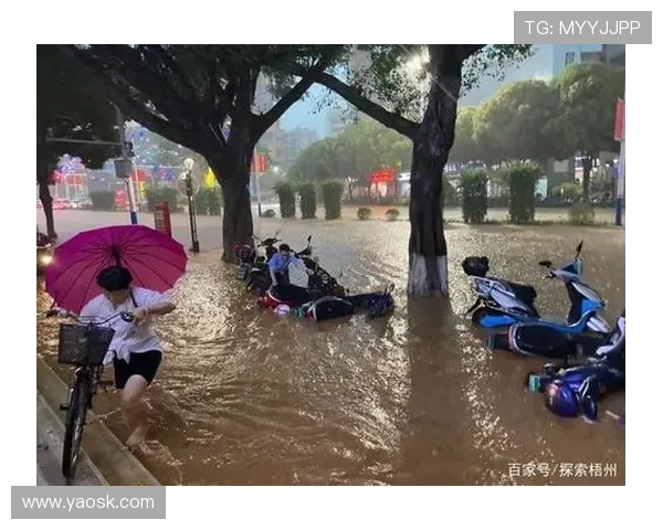 暴雨突袭比赛中断 球场瞬间化身游泳池惊现水灾奇观 暴雨突袭比赛中断 球场瞬间化身游泳池惊现水灾奇观